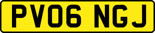 PV06NGJ