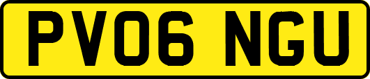PV06NGU
