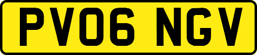 PV06NGV