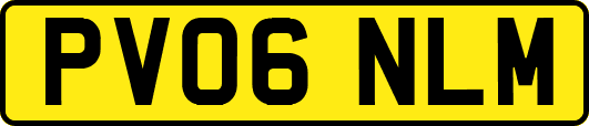 PV06NLM