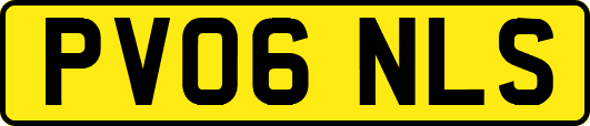 PV06NLS