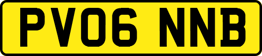 PV06NNB