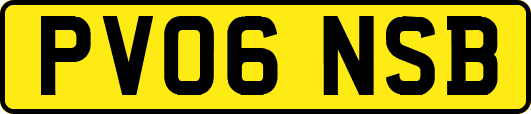 PV06NSB