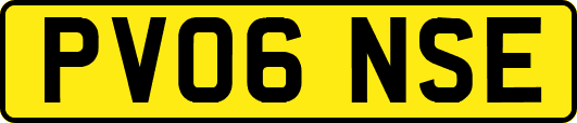 PV06NSE