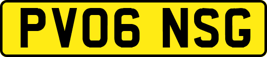 PV06NSG
