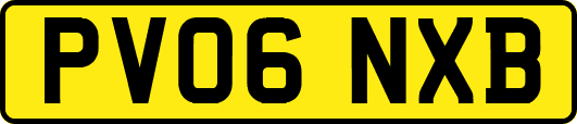 PV06NXB