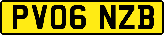 PV06NZB
