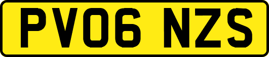 PV06NZS