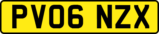 PV06NZX