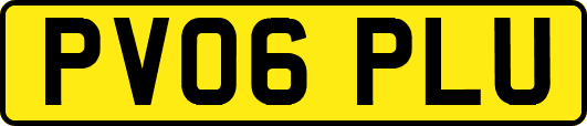 PV06PLU