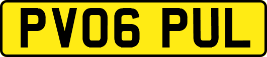PV06PUL
