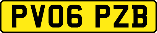 PV06PZB