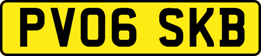 PV06SKB