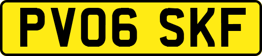 PV06SKF