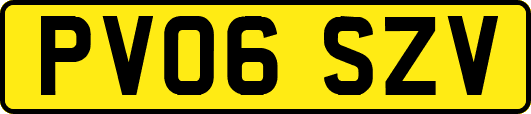 PV06SZV