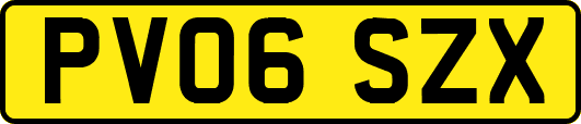 PV06SZX
