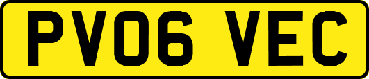 PV06VEC