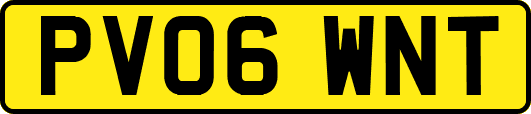 PV06WNT