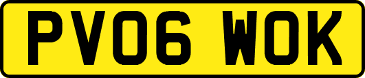 PV06WOK