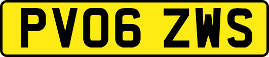 PV06ZWS