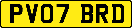 PV07BRD