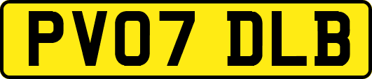 PV07DLB