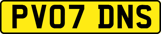 PV07DNS