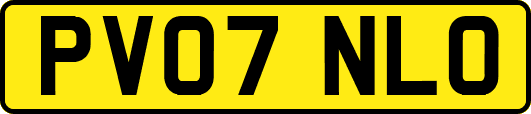 PV07NLO