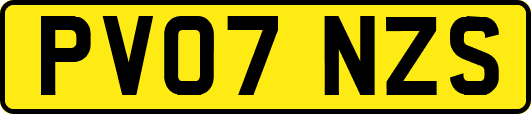 PV07NZS