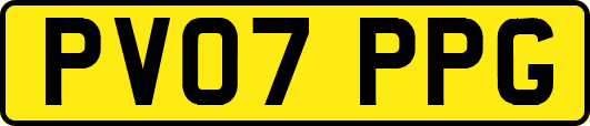 PV07PPG
