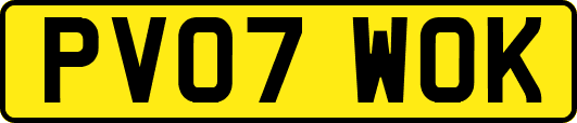 PV07WOK