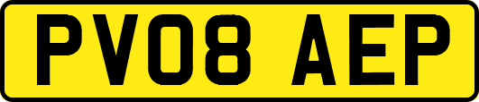 PV08AEP