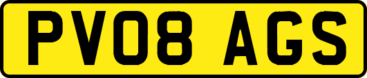PV08AGS