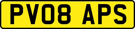 PV08APS
