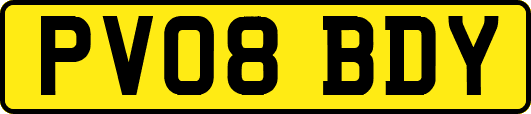 PV08BDY
