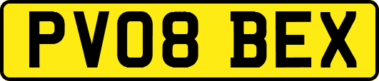 PV08BEX