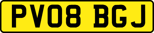 PV08BGJ