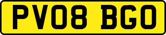 PV08BGO