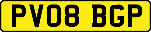PV08BGP