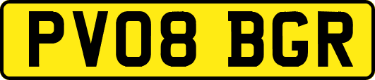 PV08BGR