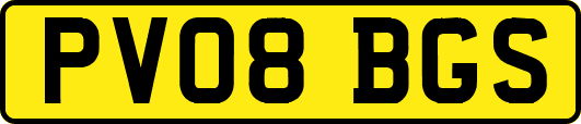 PV08BGS