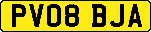 PV08BJA