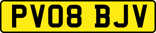 PV08BJV