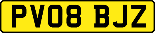 PV08BJZ