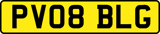 PV08BLG