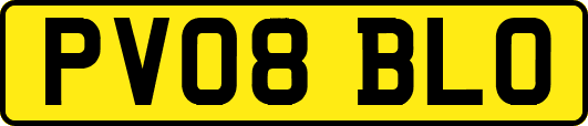 PV08BLO