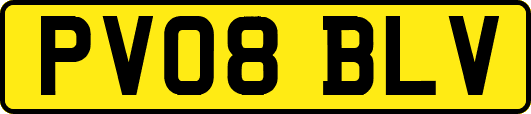 PV08BLV