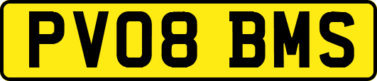 PV08BMS