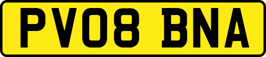 PV08BNA