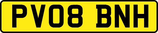 PV08BNH